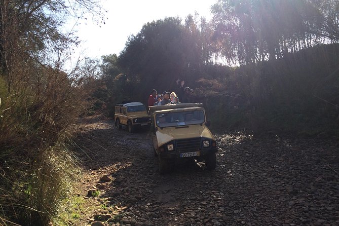 Algarve Jeep Safari - Day Trip - The animal farm and the road back into the hills