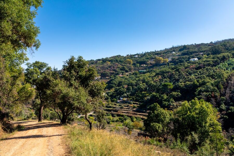 Algarve: Jeep Safari with Distillery Visit & Lunch - The guides are the heart of the experience