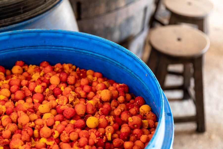 Algarve: Jeep Safari with Distillery Visit & Lunch - Lunch at a local restaurant breaks up the day