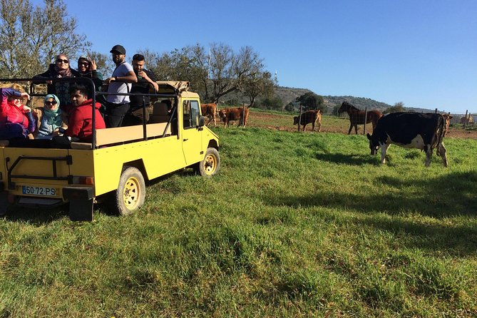 Algarve Mountains & Villages - Half Day Jeep Safari Trip - Leaving Albufeira for the Algarve Hills