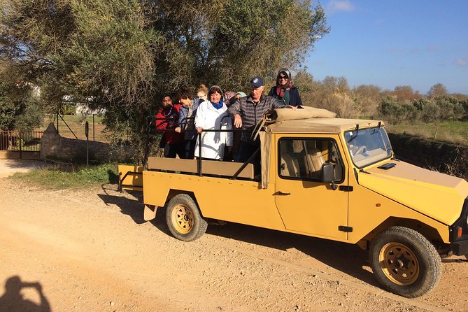 Algarve Mountains & Villages - Half Day Jeep Safari Trip - Paderne Farm: Herbs, Animals, and Portuguese Fire Water