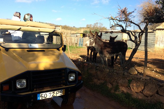 Algarve Mountains & Villages - Half Day Jeep Safari Trip - What $36.14 Really Gets You