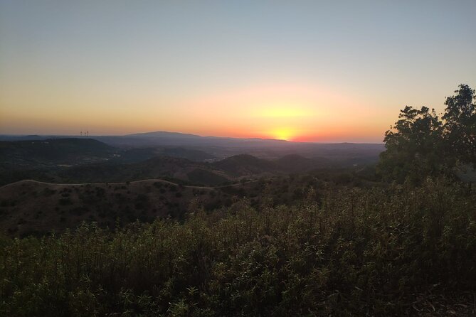 Algarve Sunset Safari Tour from Albufeira - Who will enjoy this safari most?