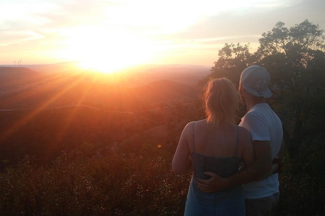 Algarve Sunset Safari Tour from Albufeira - Should you book the Algarve Sunset Safari?