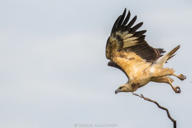 All Inclusive Private Safari in Minneriya National Park - What the driver-tracker adds