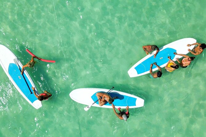 All-Inclusive Sandbar Safari with Dolphin Playground Encounter - What the five hours feel like