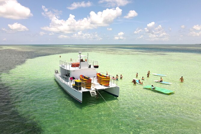 All-Inclusive Sandbar Safari with Dolphin Playground Encounter - The crew and the mood on board