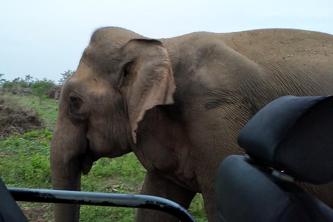 All Inclusive Udawalawe National Park Safari Day Tour from Colombo and Negombo - Entering Udawalawe by 4x4 Jeep