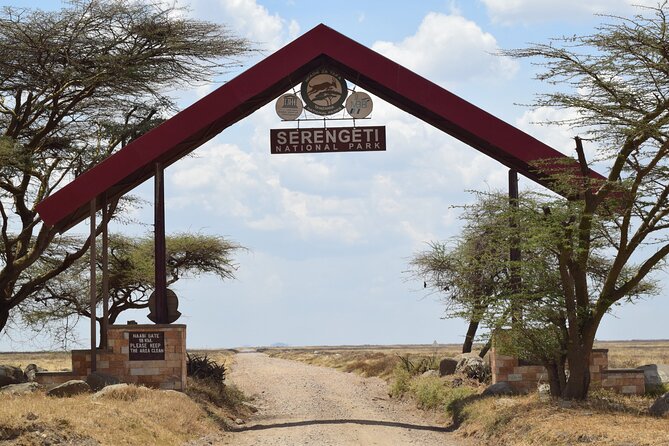 Amazing 4 Days Tanzania Budget Camping Group Joining Safari - Day three: A full Serengeti game drive