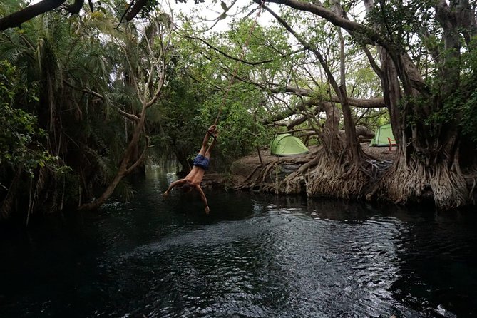 Amazing Chemka (Kikuletwa) Hot Spring Day Trip | BURIGI CHATO SAFARIS CO LTD - Why Chemka Kikuletwa works as a rest day