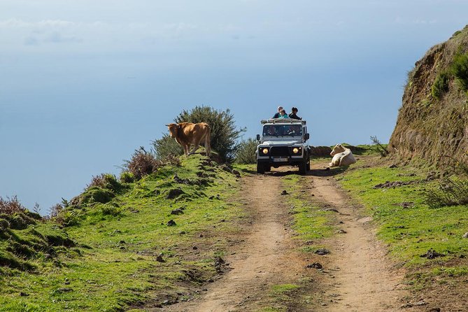 Amazing West - Jeep Safari Tour - Full Day - Shared Tour - Why a Jeep is the right way to see Madeira’s west