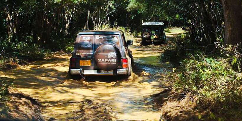 Anuradhapura: Full-Day Wilpattu All Inclusive Private Safari - A picnic lunch in the park
