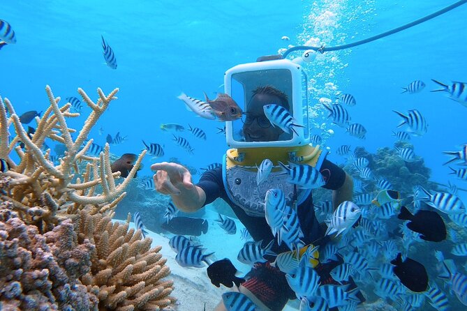 Aqua Safari Introductory Helmet Dive (Underwater Walk) - Why this underwater walk works for non-swimmers