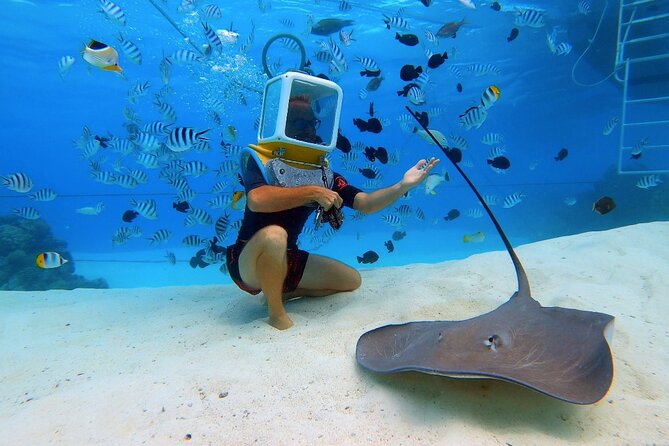 Aqua Safari Introductory Helmet Dive (Underwater Walk) - Is $158.76 good value?