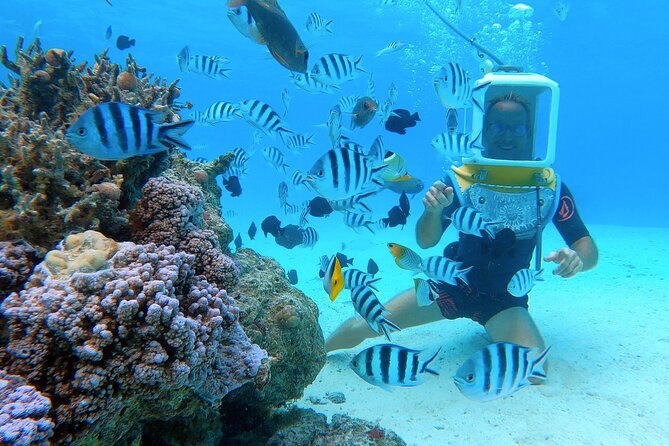 Aqua Safari Introductory Helmet Dive (Underwater Walk) - From hotel pickup to the lagoon site