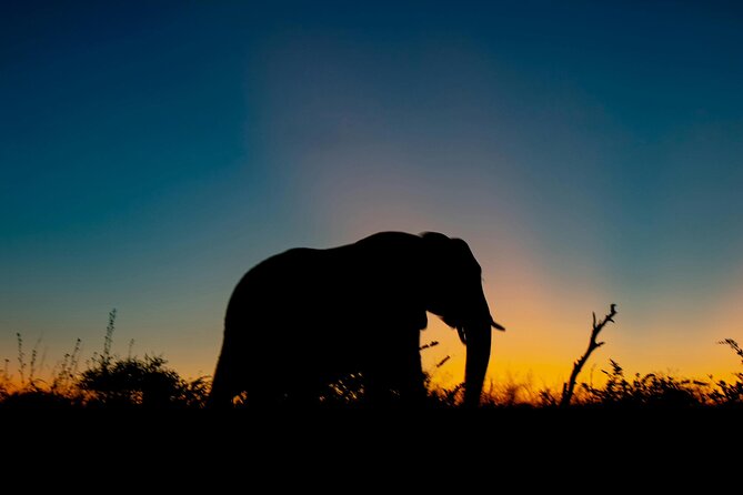 Aquila Game Reserve Sunset Safari - Why the sunset timing matters at Aquila