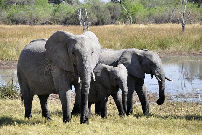 Aquila Game Reserve Sunset Safari - The golden hour payoff