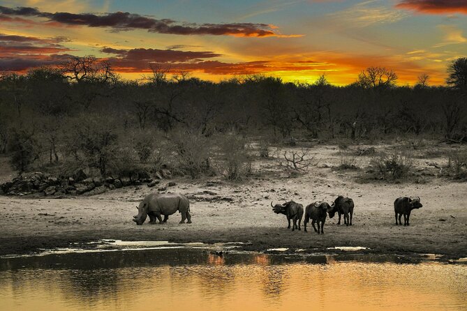 Aquila Game Reserve Sunset Safari - Who will enjoy this half-day safari
