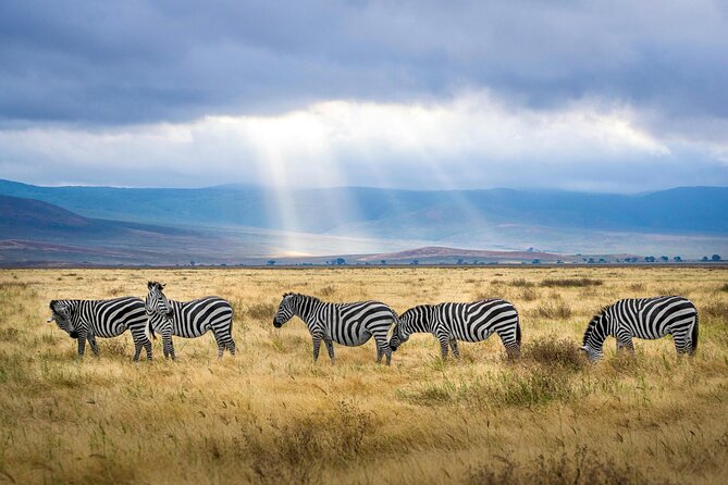 Aquila Game Reserve Sunset Safari - Booking, cancellation, and group details
