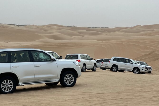 Arabian Desert Safari Abu Dhabi: 6Hour Tour with BBQ & Live Shows - From Abu Dhabi roads to the Al Khatim dunes
