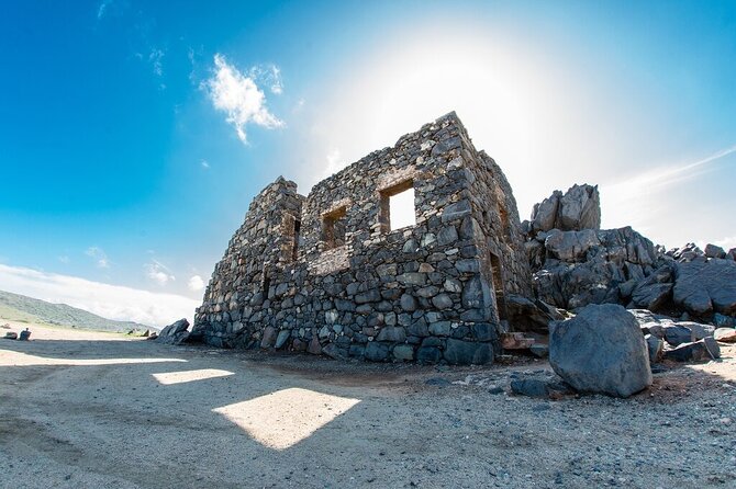Aruba Full Island Safari with Baby Beach & Natural Bridge - What You See in Four Fast Hours