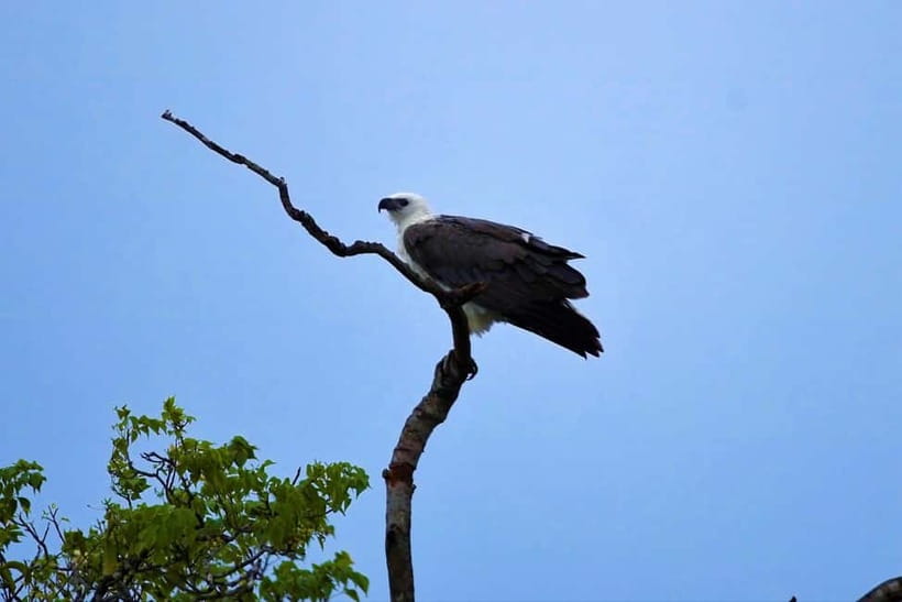 Arugambay :Pottuvil Lagoon Mangrove Eco Boat Safari Tours - Who will enjoy this trip most