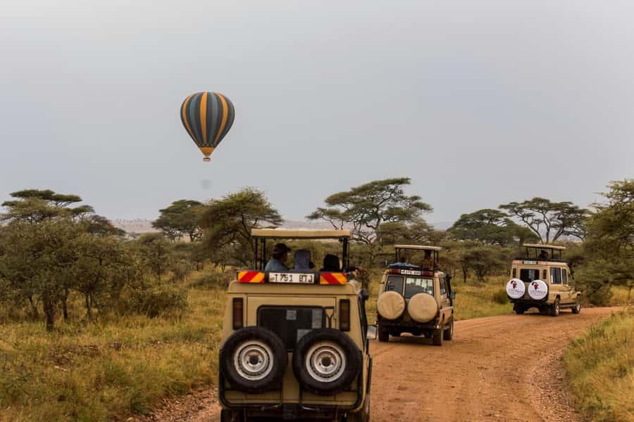 Arusha: 3-Day Serengeti & Ngorongoro Crater Big Five Safari - Day one: Mto wa Mbu, the Rift Valley, and the Serengeti