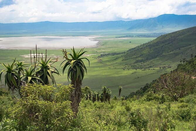 Arusha: 5 days Safari Trip Tarangire, Lake Manyara and Ngorongoro - Key points at a glance