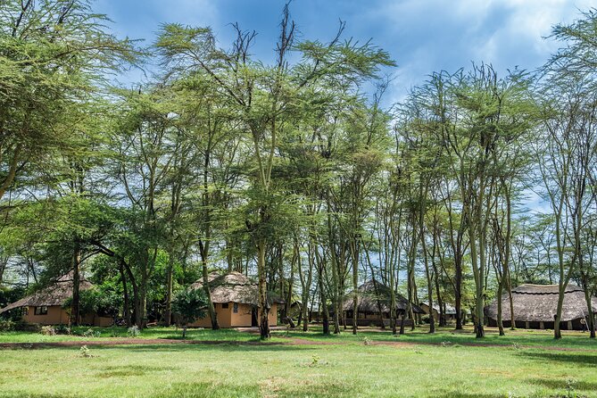 Arusha: 5 days Safari Trip Tarangire, Lake Manyara and Ngorongoro - Why this five-day route works