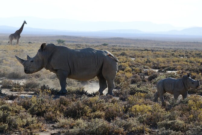 Arusha: 5 days Safari Trip Tarangire, Lake Manyara and Ngorongoro - Day 3: a slower day and a Maasai boma