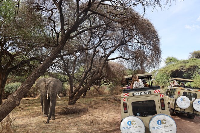 Arusha: 5 days Safari Trip Tarangire, Lake Manyara and Ngorongoro - Guides are central to the quality