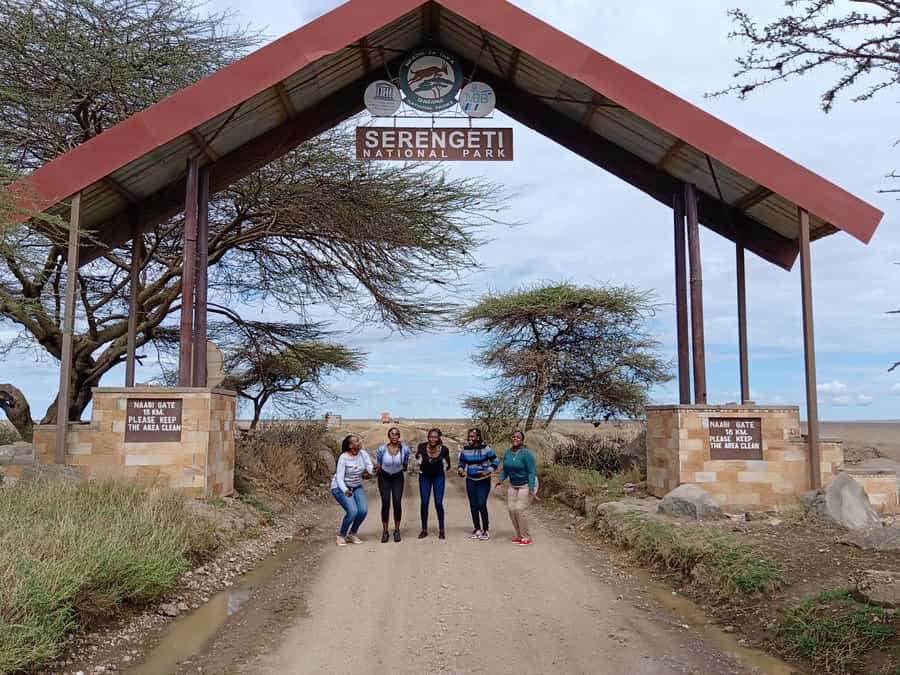 Arusha: Serengeti and Ngorongoro Multi-Day Camping Safari - Day 2: A full day among Serengeti herds