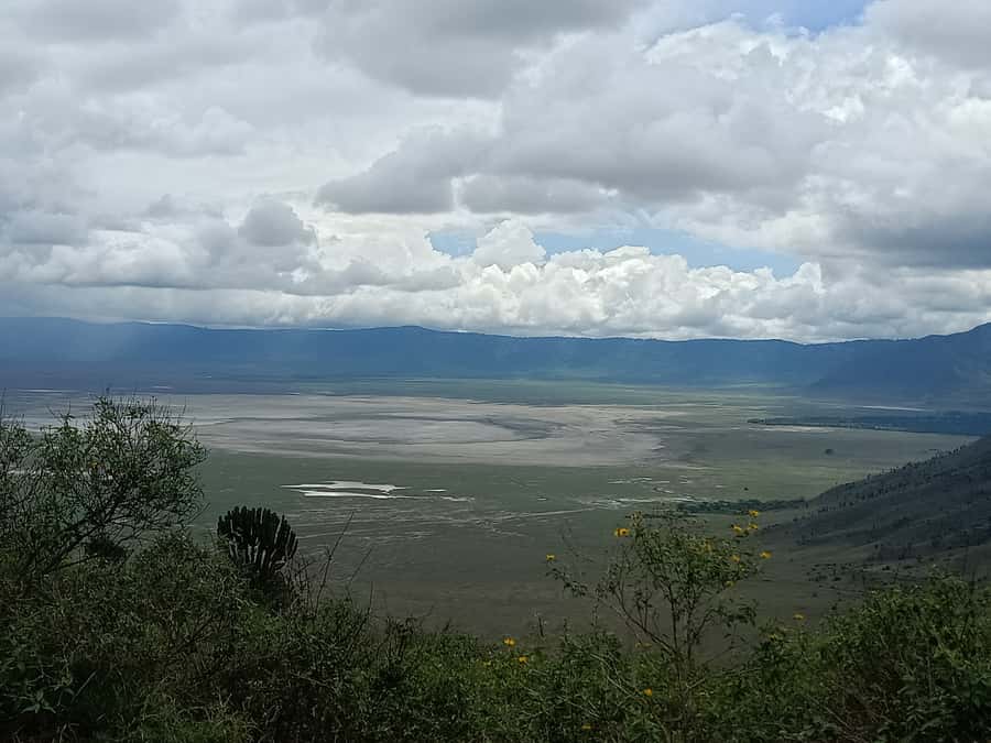 Arusha: Serengeti and Ngorongoro Multi-Day Camping Safari - Camping, food, and the real level of comfort