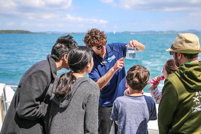 Auckland Dolphin and Whale Watching Eco-Safari Cruise - Rangitoto Island and the first gulf views