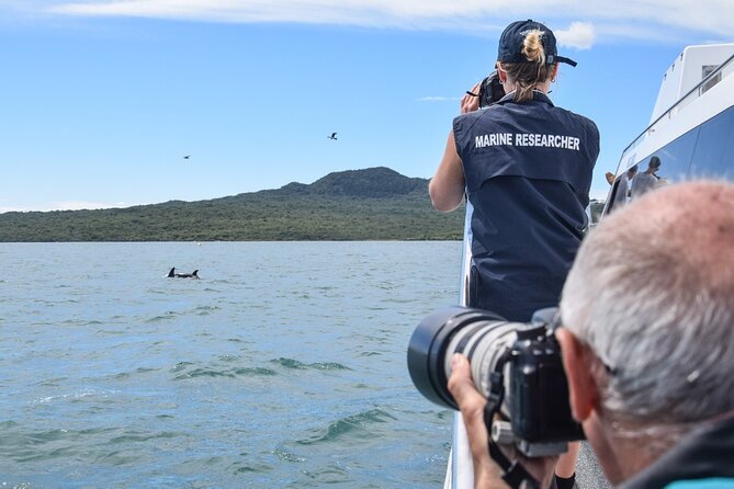 Auckland Dolphin and Whale Watching Eco-Safari Cruise - Motuihe and Motutapu: island scenery between sightings