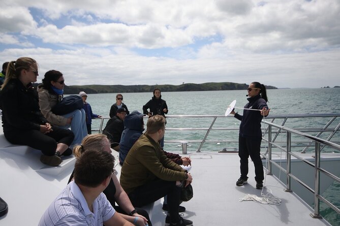 Auckland Dolphin and Whale Watching Eco-Safari Cruise - Tiritiri Matangi and the seabird watch