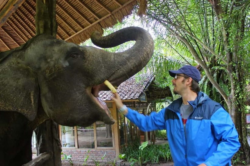Bali: Taman Safari and Elephant Feeding with Hotel Transfer - Key points to know before booking