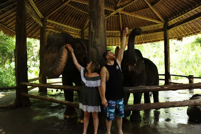 Bali: Taman Safari and Elephant Feeding with Hotel Transfer - The ride from your hotel to Taman Safari Bali