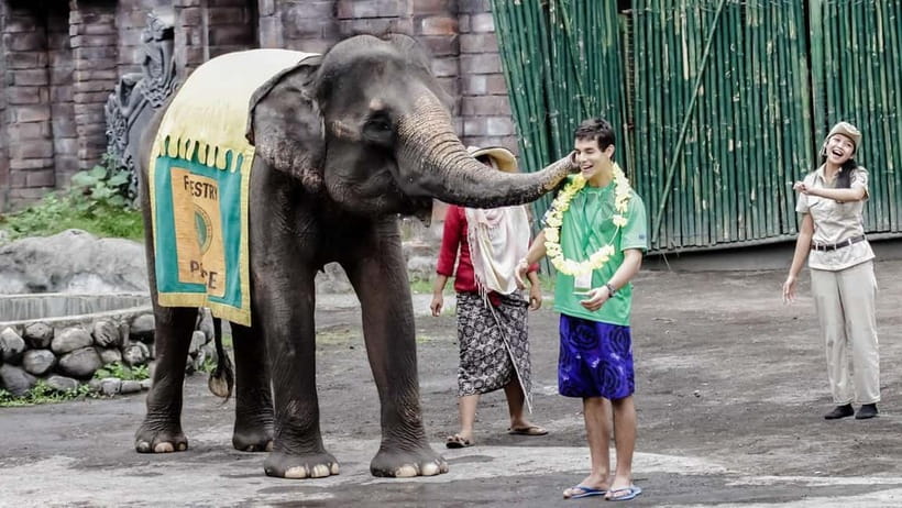 Bali: Taman Safari and Elephant Feeding with Hotel Transfer - What the price includes at $100 per person