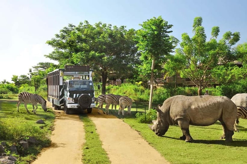 Bali: Taman Safari and Elephant Feeding with Hotel Transfer - Arriving with the Jungle Hooper ticket