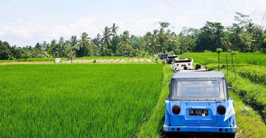 Bali: Vintage VW Jeep Countryside Safari - Should you book the Vintage VW Jeep Safari?