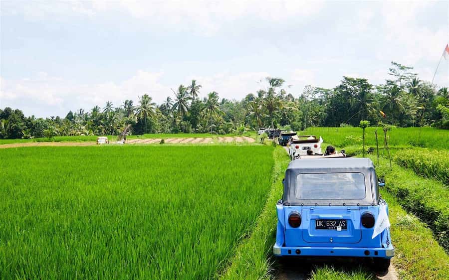 Bali: Vintage VW Jeep Countryside Safari - Tanah Lot and the morning sea view