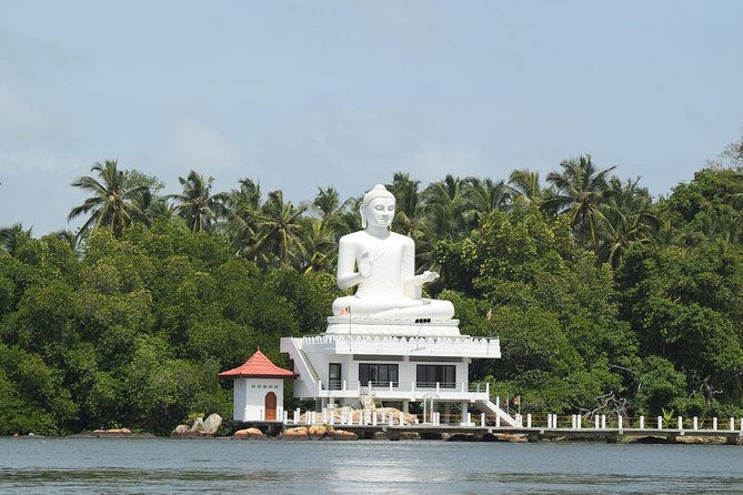 Bentota River Safari By BTM (Mangrove & Wildlife Encounter) - What you can see along the two-hour route