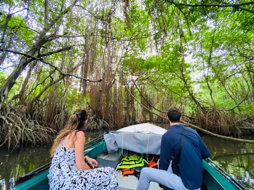 Bentota River Safari: Discover Wildlife & Mangroves by Boat - Looking for crocodiles, birds, and river monitors