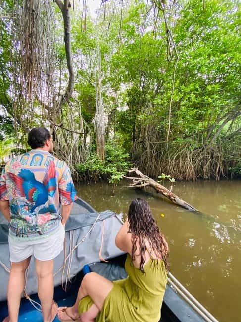 Bentota River Safari: Discover Wildlife & Mangroves by Boat - The king coconut stop