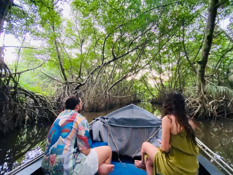 Bentota River Safari: Discover Wildlife & Mangroves by Boat - Practical comfort and what to bring