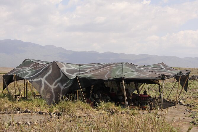 Best 5 Days Tanzania Private Luxury Safari with luxury Lodges - A five-day route through Tanzania’s best-known parks