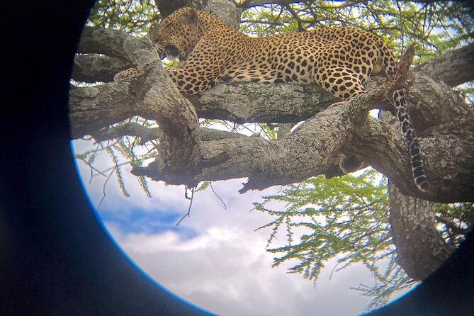 Best of Tanzania 5days 4nights safari - Day 2: The long road to the Serengeti