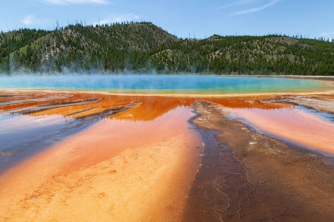 Best of Yellowstone - Guided National Park Safari Tour - Key points to know before booking