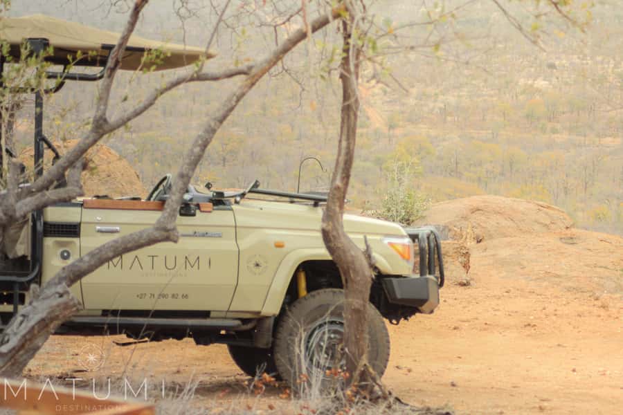 Big 5 Safari Am or Pm - A four-hour introduction to Kruger’s Big Five